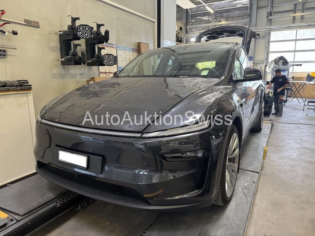 Tesla Model Y Long Range Launch Series D