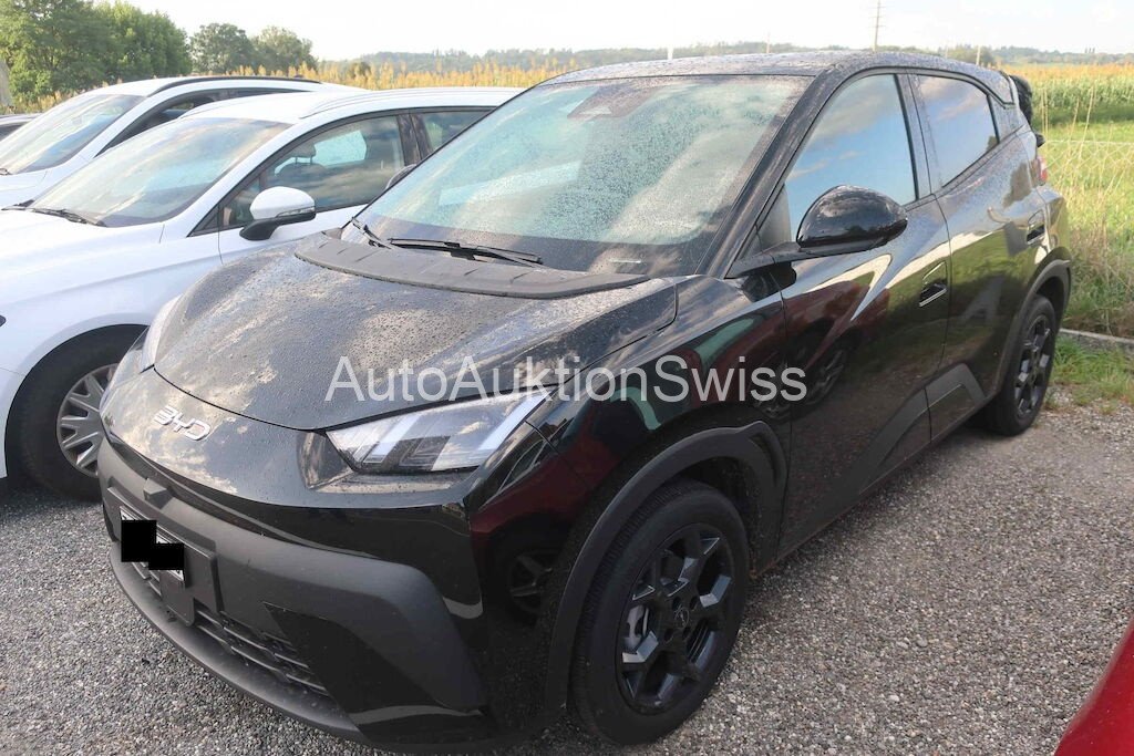 BYD DOLPHIN SURF 43 KWH COMF