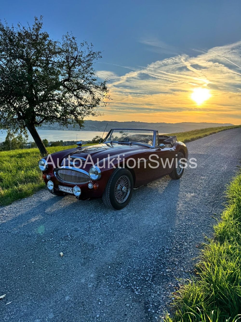 AUSTIN Healy BJ8