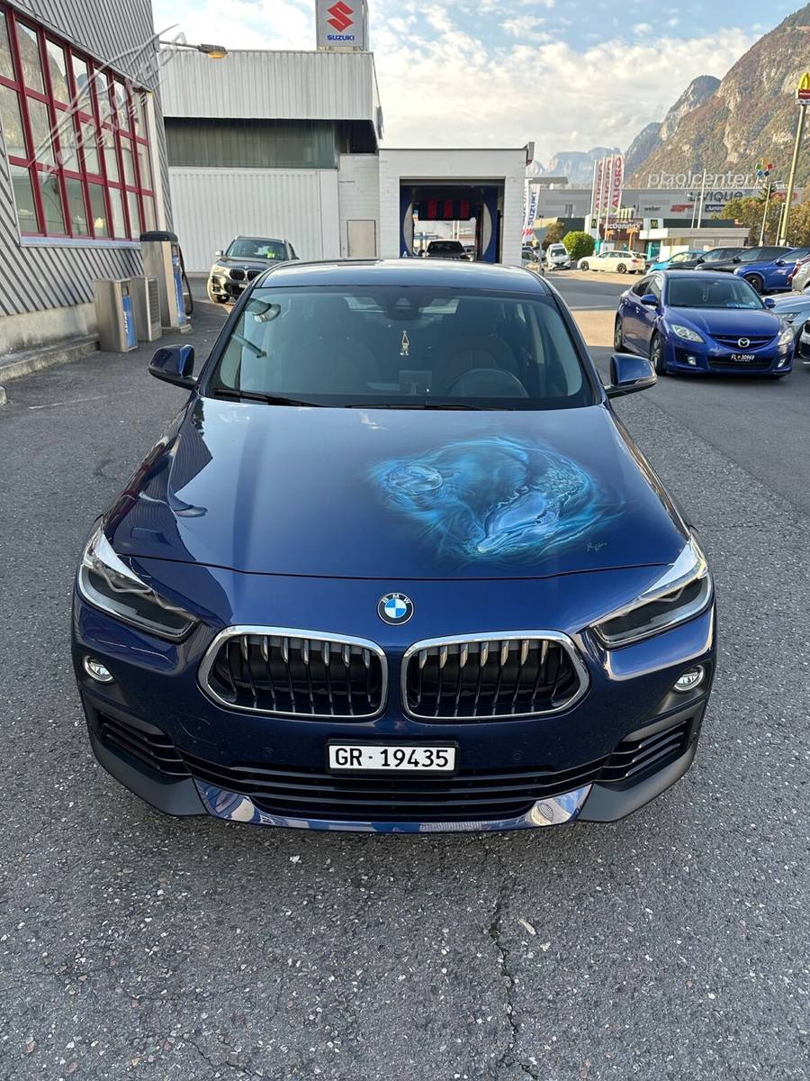 BMW X2 xDrive20d