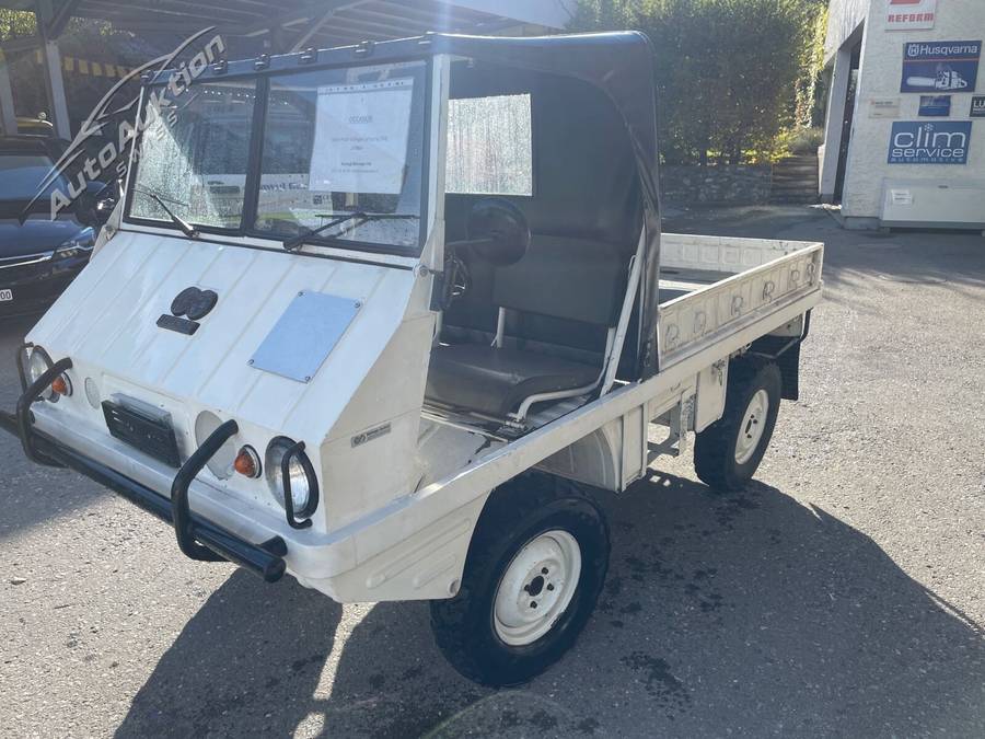 STEYR-PUCH Haflinger