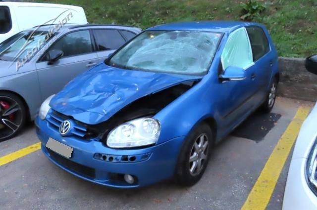 VW Golf V 1.9 TDI 105 Comfl. 4motion