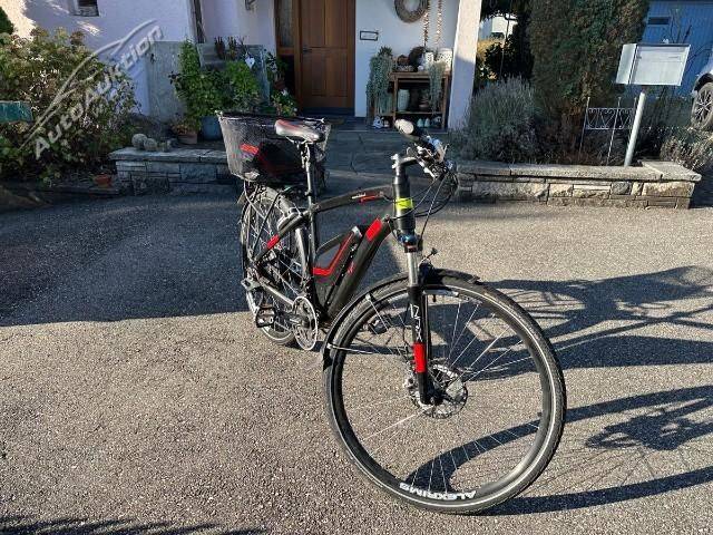Flyer Vollblut 500