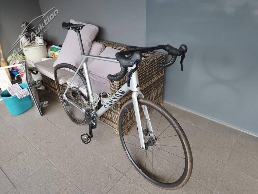 Canyon Endurance CF7